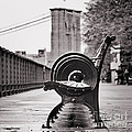 Bench's Circles and Brooklyn Bridge - Brooklyn Heights Promenade - New York City