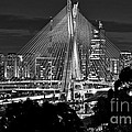 Sao Paulo - Ponte Octavio Frias de Oliveira by Night in Black and White