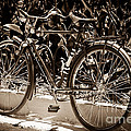 Vintage Bicycle from the 1940s