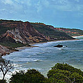 Praia de Tambaba - Paraiba