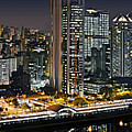 Sao Paulo iconic skyline - cable-stayed bridge 